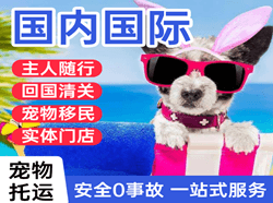 邵阳武冈机场空运国际宠物托运 【国